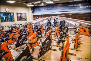 Fitness and Gym Clubs